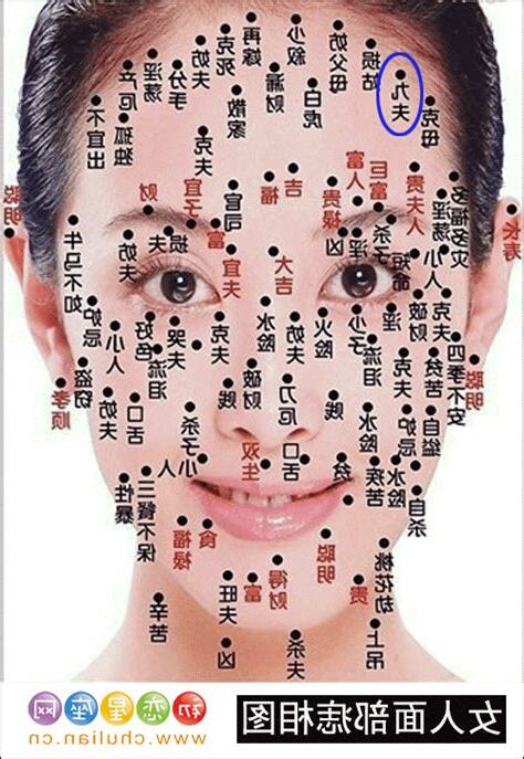 九夫痣 意思